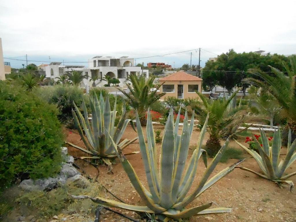 Nanakis Beach Apartments Stavrós Esterno foto